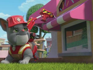 Rubble & Crew