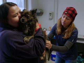 Die Yukon-Tieraerztin Die Yukon-Tieraerztin