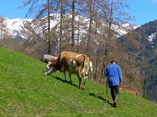 Österreich-Bild aus dem Landesstudio Tirol