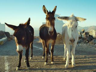 Perfectly a Strangeness