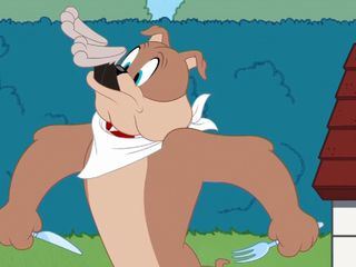 Die Tom und Jerry Show