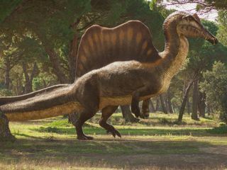 Unter Dinos - Geheimnisse der Urzeit