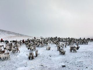 Mongolei, immer auf Achse