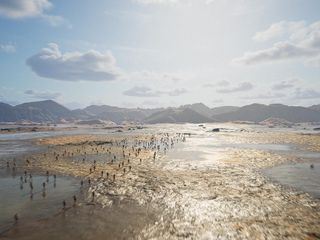 Primo indiziato: La terra!