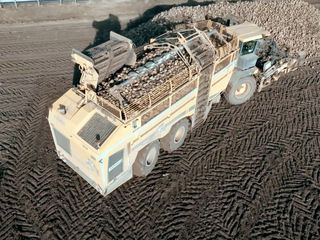 Zuckeralternativen - Genuss mit Beigeschmack