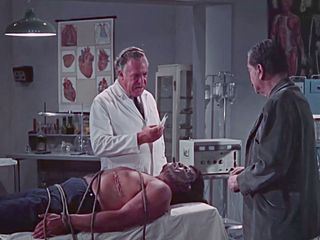Night of the Bloody Apes