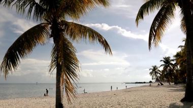 Island Life - Traumhaus gesucht