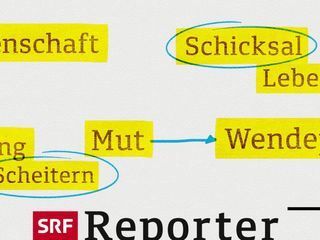 Reporter