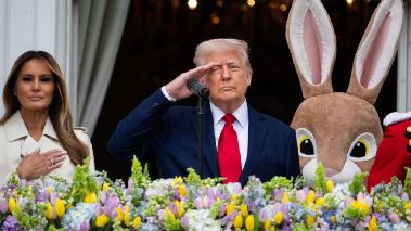 The Donald Trump show