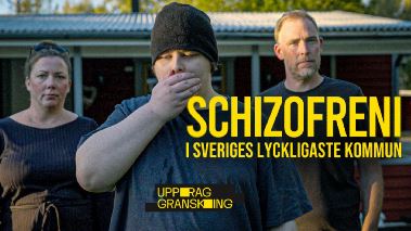 Uppdrag granskning