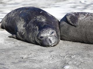 Amerikas Wilder Westen