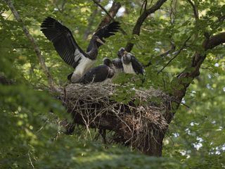 Versteckte Paradiese