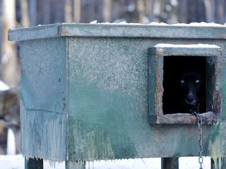 Life Below Zero - Überleben in Alaska