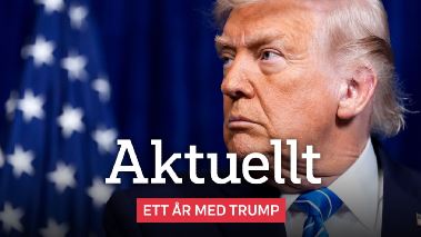 Aktuellt