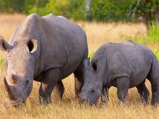 Im Einsatz fuer den Planeten - Die Artenretter (2)