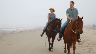 Traumhaus am Strand gesucht