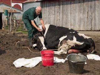 Der unglaubliche Dr. Pol Der unglaubliche Dr. Pol
