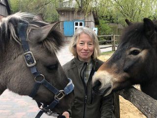 Seeloewe & Co - tierisch beliebt