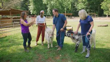 Homegrown - Aus Liebe zum Garten