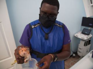 Critter Fixer: Zwei Tieraerzte fuer alle Felle