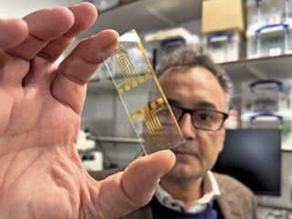 Der Hirnschrittmacher