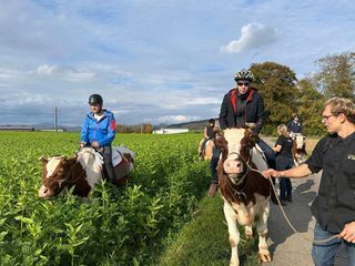 Expedition in die Heimat