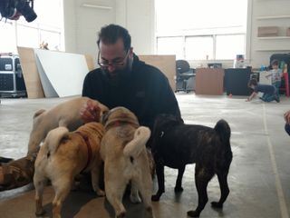 Pet Palace - Haustraeume fuer Haustiere