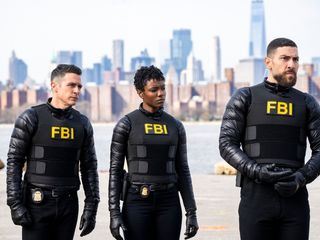 FBI: Special Crime Unit