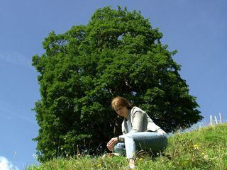 Zwischen Himmel & Erde - Almen im Salzburger Land