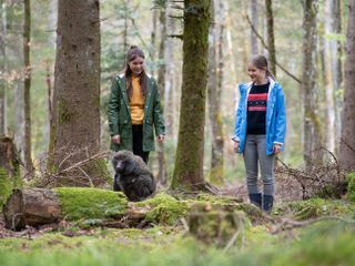 Tiere bis unters Dach