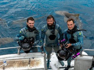 Extinct or Alive - Ausgestorben oder nicht?