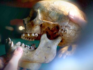 Geheimakte Geschichte - Ein Schaedel fuer Darwin