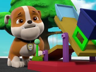 Paw Patrol: Helfer auf vier Pfoten Paw Patrol: Helfer auf vier Pfoten