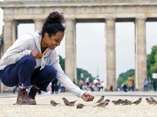 Pia und die wilden Tiere