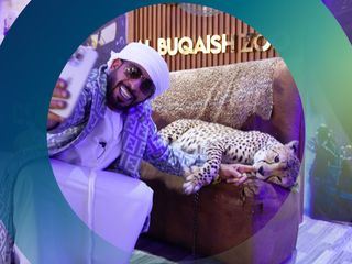 Tiere auf Instagram - Leid fuer Likes?