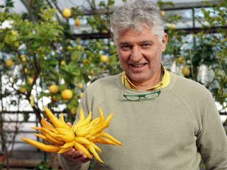 Faszination Österreich