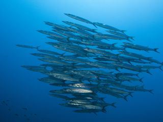 Expedition Mittelmeer