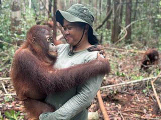 Borneo, wo junge Orang-Utans leben lernen