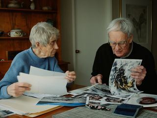 True Stories True Stories