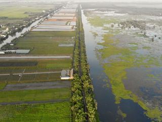 Le sud du Vietnam au fil de leau