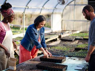 Homegrown - Aus Liebe zum Garten