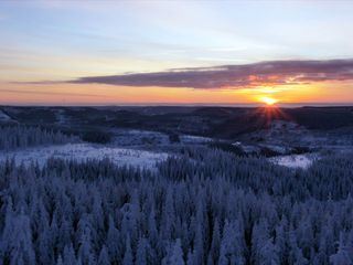 Ein Winter im Schwarzwald