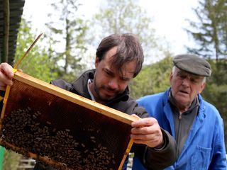 Slowenien, Land des Honigs