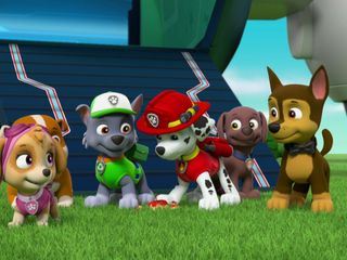 Paw Patrol - Helfer auf vier Pfoten Paw Patrol - Helfer auf vier Pfoten