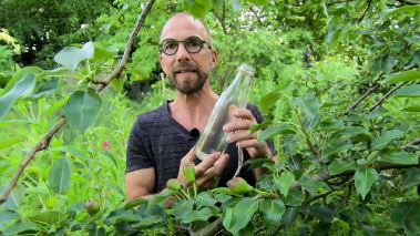 Traedgårdstips med Soeren Vester
