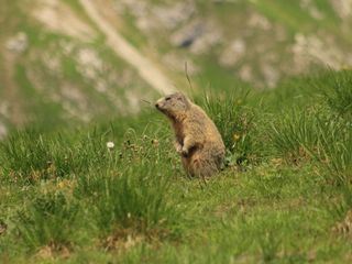 Der Fjord in den Bergen - Ein Jahr am Vilsalpsee
