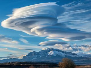 The Proof is Out There - Alien Edition