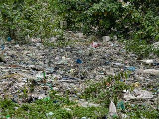 Greenwashed? Decathlon: Kann Massenware nachhaltig sein?