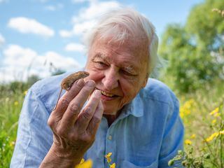 Wildes London - mit Sir David Attenborough