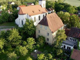 Das Graue Langohr - Winzling im Kitzinger Land